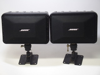 BOSE 101MM (1).JPG